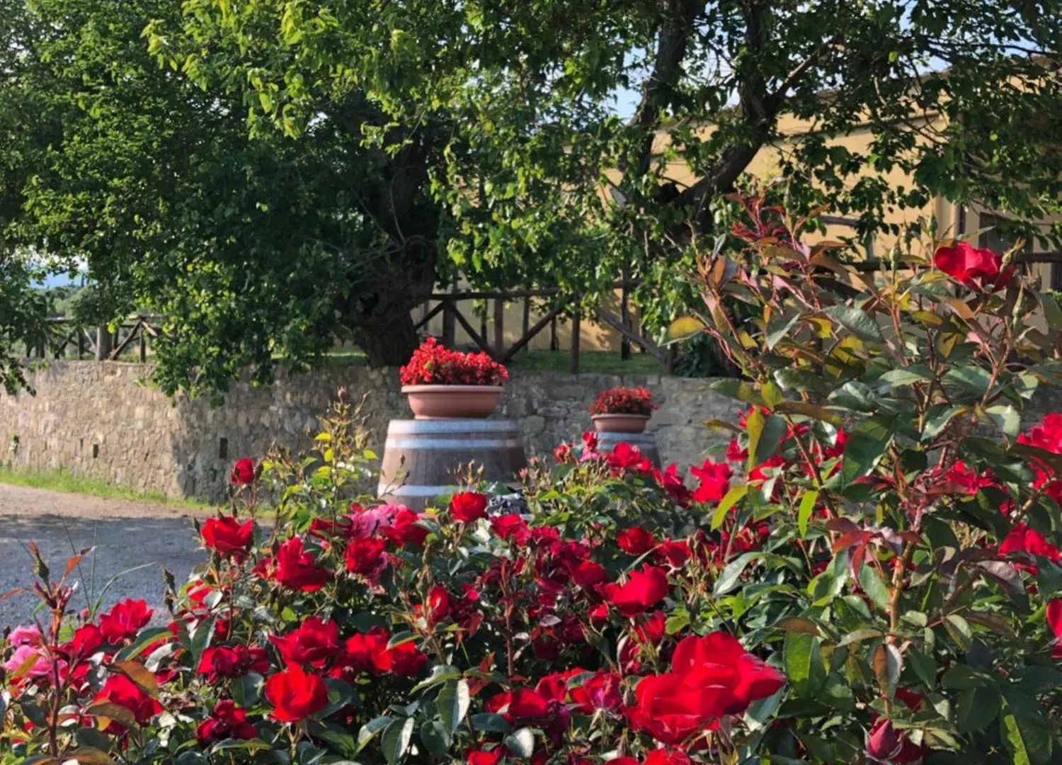 Agriturismo La Posta Reale Castiglion Fibocchi Bauernhof